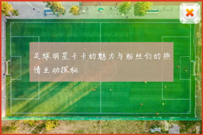 足球明星卡卡的魅力与粉丝们的热情互动探秘