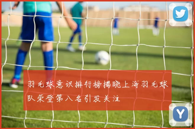 羽毛球意识排行榜揭晓上海羽毛球队荣登第八名引发关注