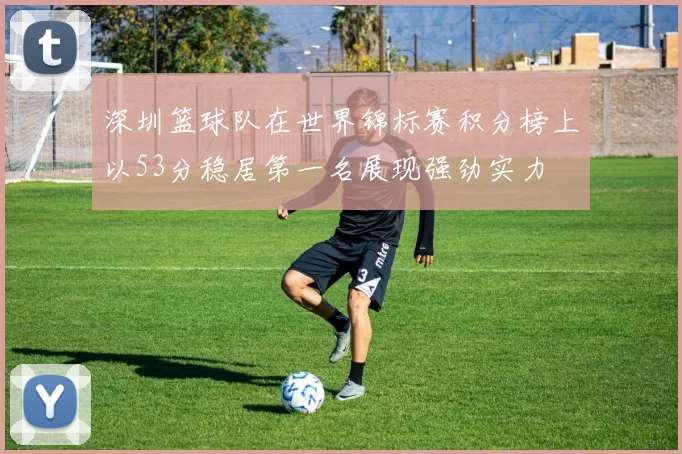 深圳篮球队在世界锦标赛积分榜上以53分稳居第一名展现强劲实力