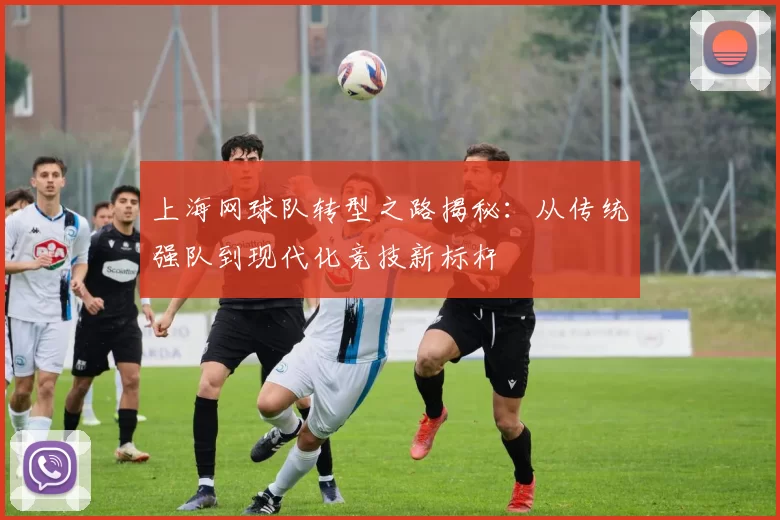 上海网球队转型之路揭秘：从传统强队到现代化竞技新标杆