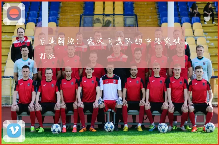专业解读：武汉飞盘队的中路突破打法
