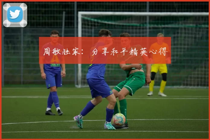 周敏独家：分享和平精英心得