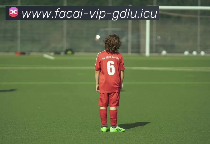 九游体育APP 封面图